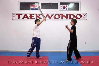 taekwondo kwon training